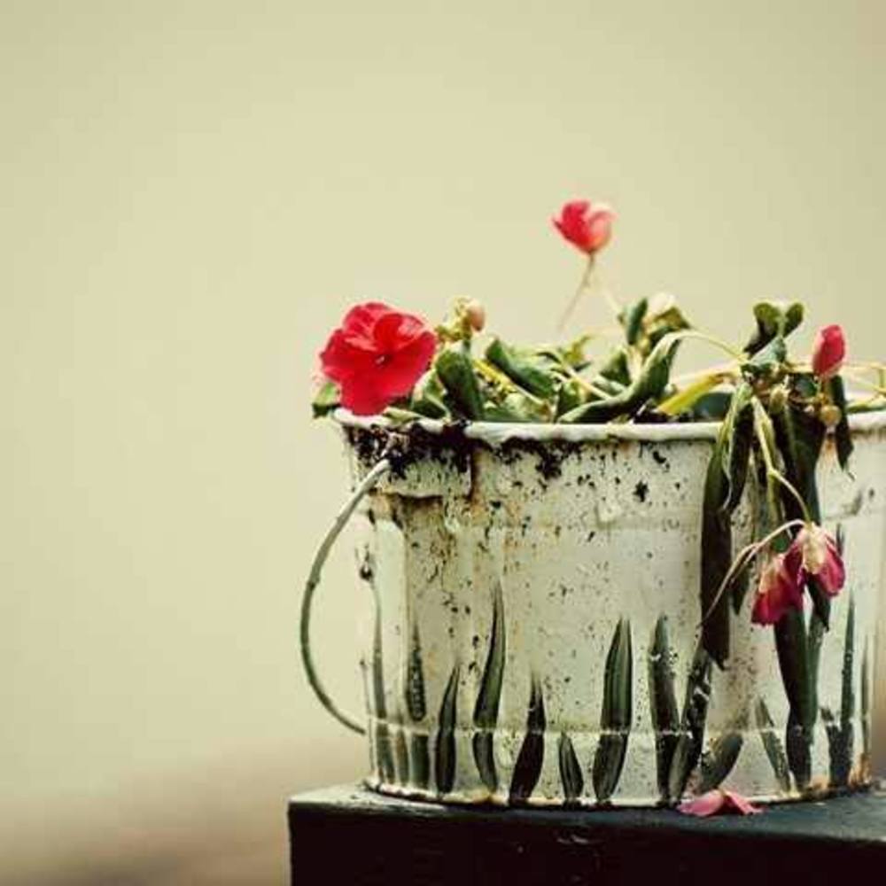 Meet your Posher, Debbie